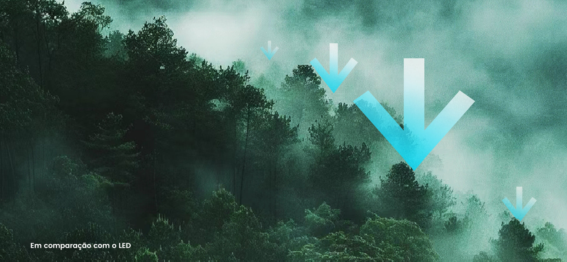 Cena de floresta com setas indicando menor consumo de energia do JMGO N1S Infinity